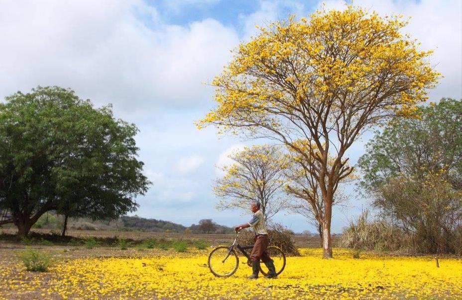 Bicicleta-San Clemente-Ecuador