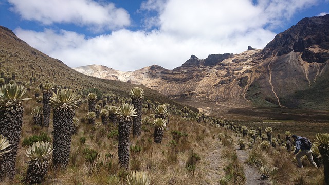 Parque-Nacional-Colombia