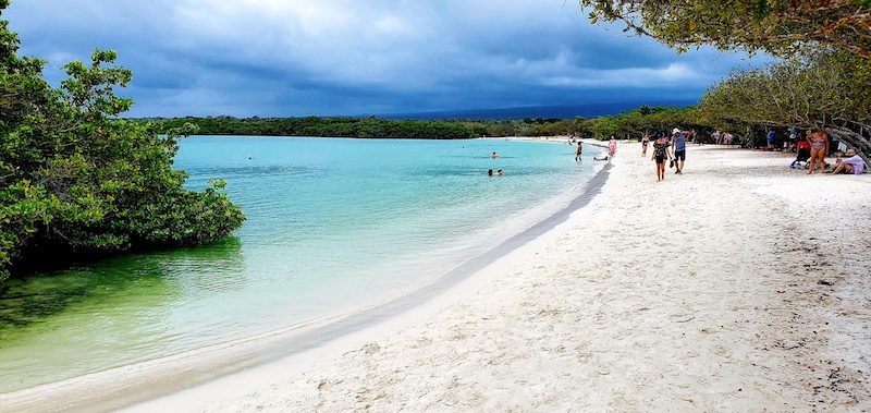 Tortuga-Bay-Santa-Cruz-Galápagos-Ecuador