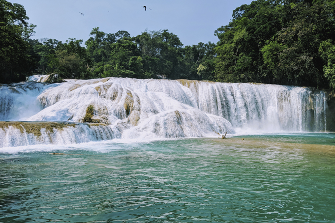 cascadas-agua-azul-chaipas-681x454