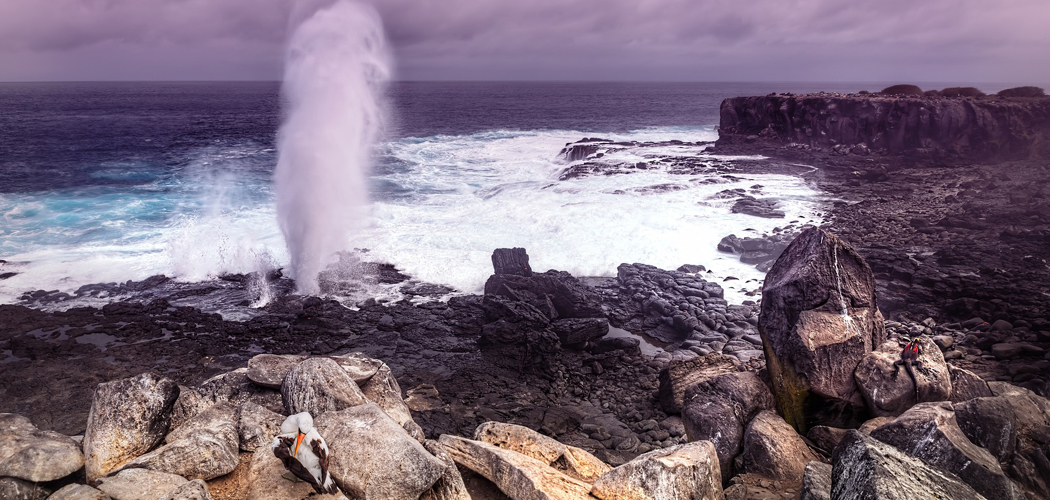 Galápagos-Isla- Española