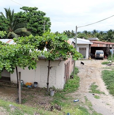 Casas en Venta